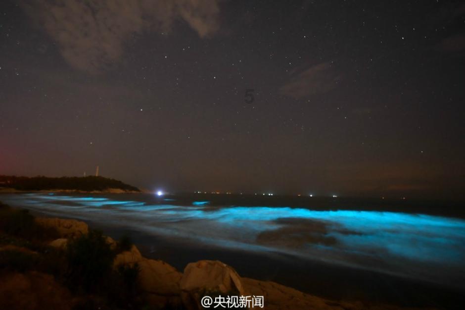 妙鸭相机app下载官网