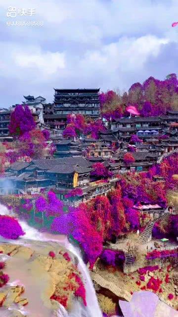 遇到极端追求者怎么办- 专业有问必答平台