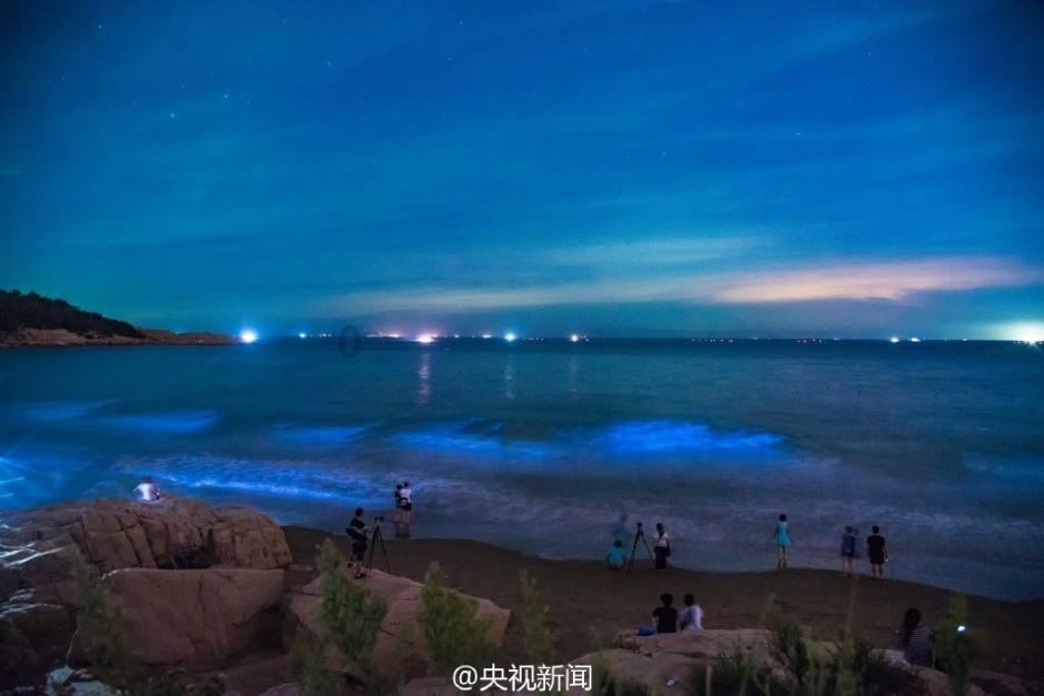 全民烧脑3去广告版