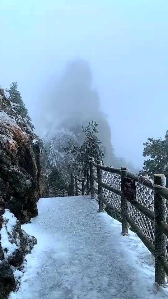 动物帮帮忙保卫家园