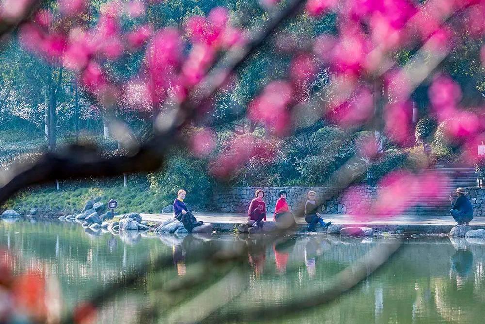 再发现挪威女画家哈丽特·贝克:每一个原子都有颜色