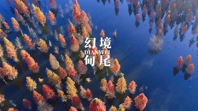 亚马逊放弃对扫地机器人制造商iRobot的收购案