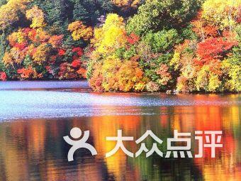 嘉日单词