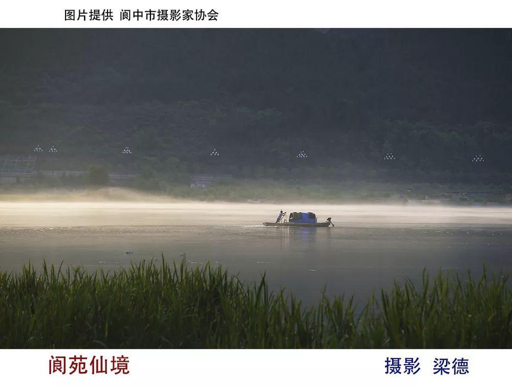 虫虫助手下载