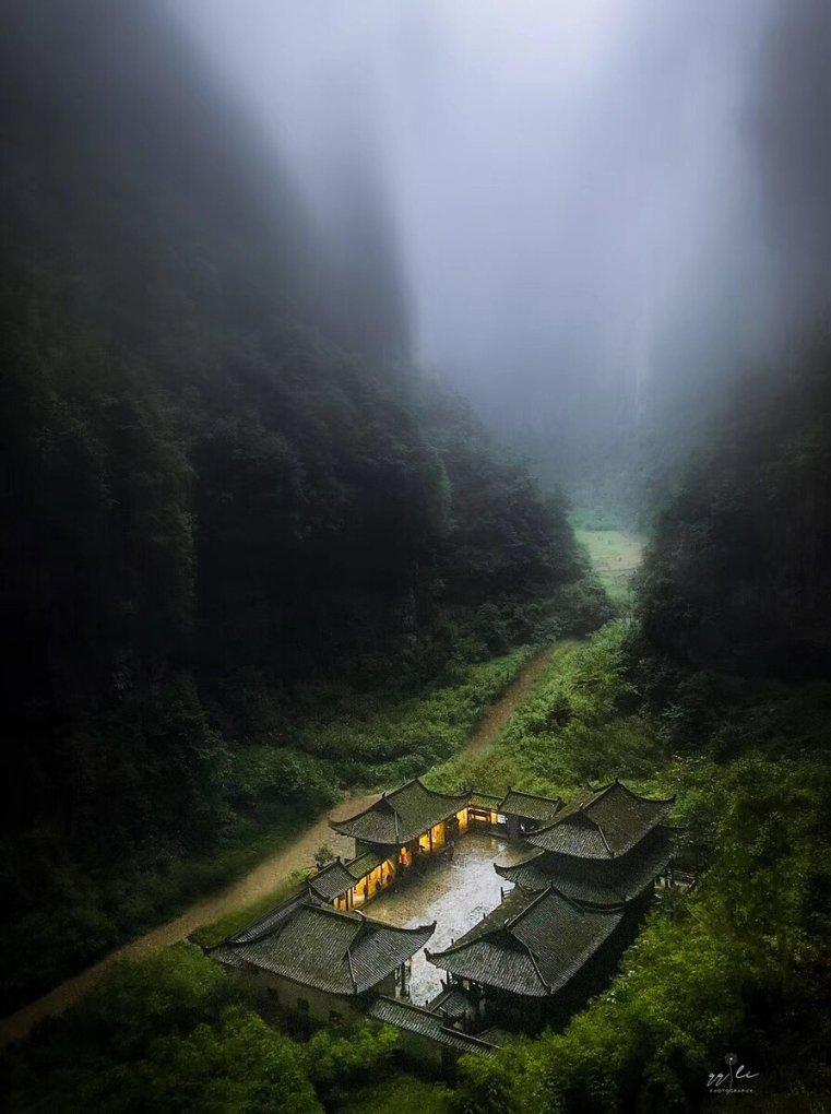 动物帮帮忙保卫家园