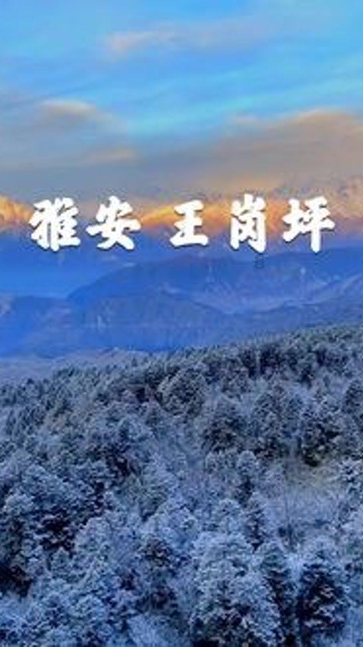 06Cr18Ni11Ti不锈钢管06Cr18Ni11Ti无缝钢管