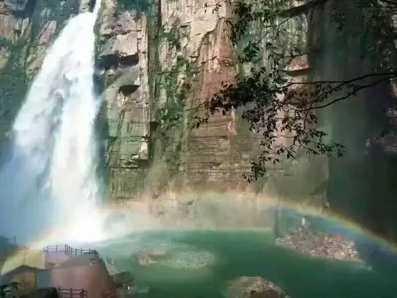 梦幻糖果森林逃生