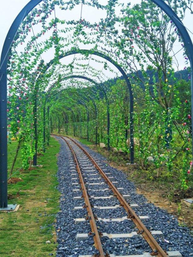 泓德基金姚学康:债市未来可能继续偏强运行