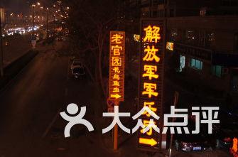小僵尸射飞鸟