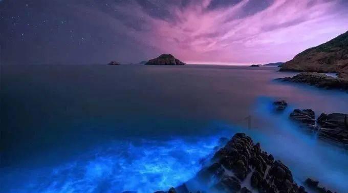 虫虫助手下载