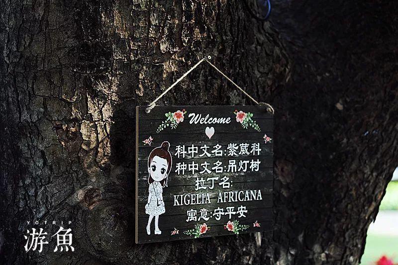 可悲！渣男再次隐身，《奔跑人生》还是变成了骂小三的闹剧