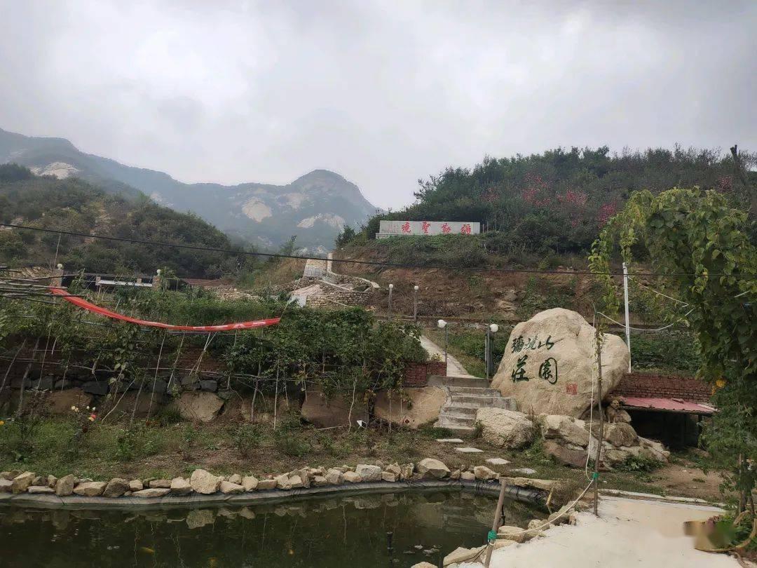 腾讯与字节跳动合作再加码 《PEL 度假岛杯》赛事直播开放