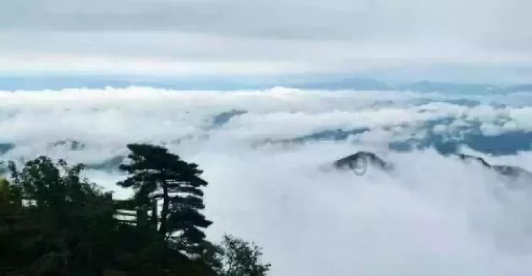 理查兹:拉师傅给曼联制造了问题,腾帅执教后球队场外表现不够好