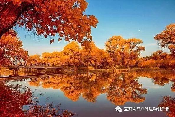 一部“打工人”喜剧的口碑破圈逆袭