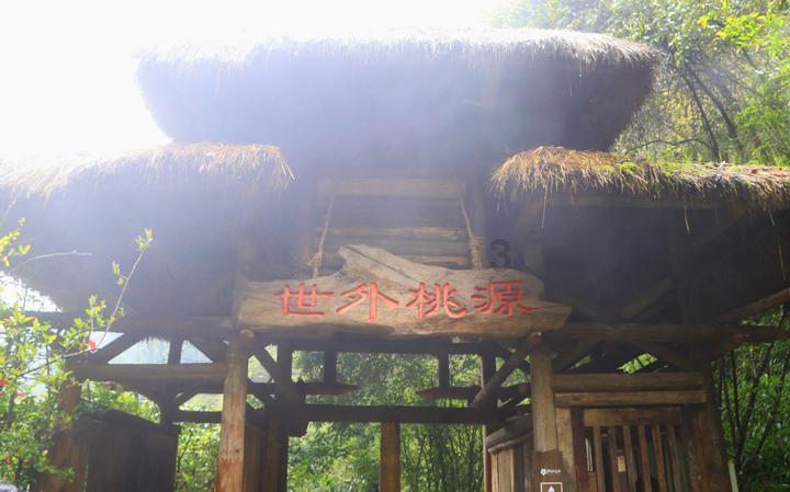 全民烧脑3去广告版