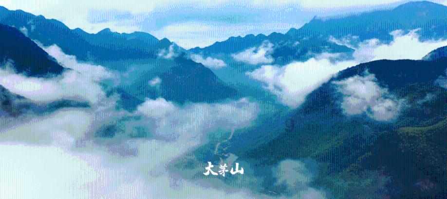 泡泡魔导师