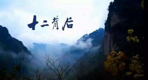 春雨直播app