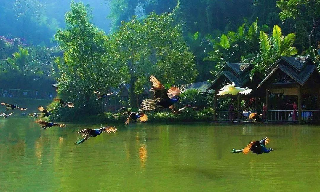 你知道多少带“龙”字的成语？