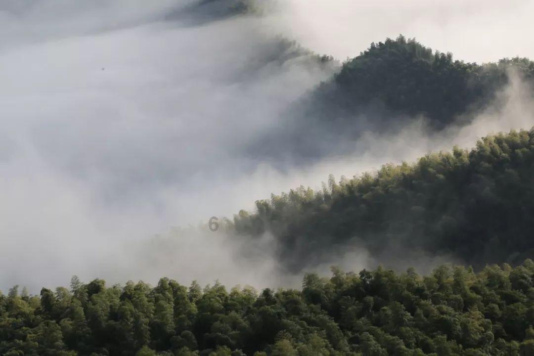 逃离冰淇淋屋