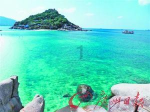全民烧脑3去广告版