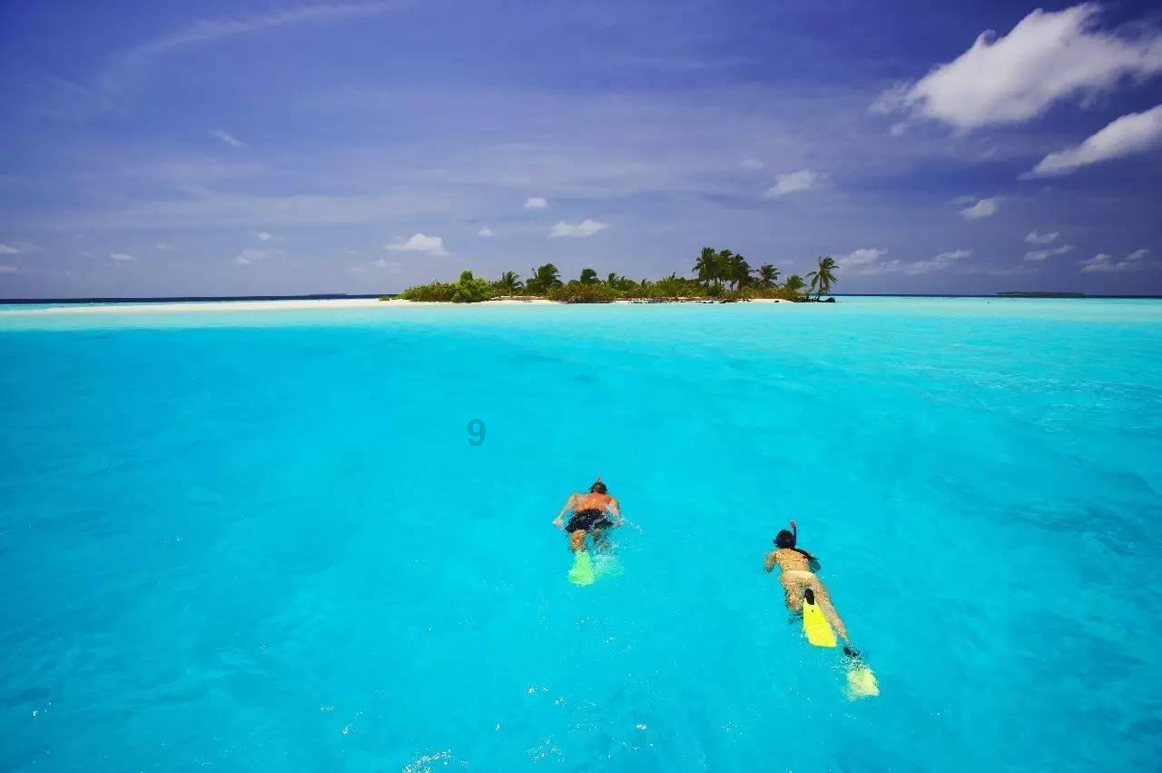 失忆的流浪者