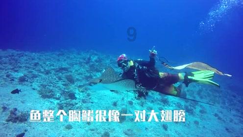 一日双败!朱琳成今天首位被淘汰种子!王曦雨再编决胜盘憾负戏码!