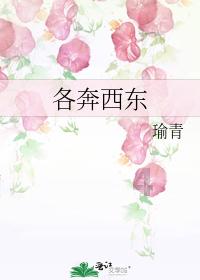 创作猫