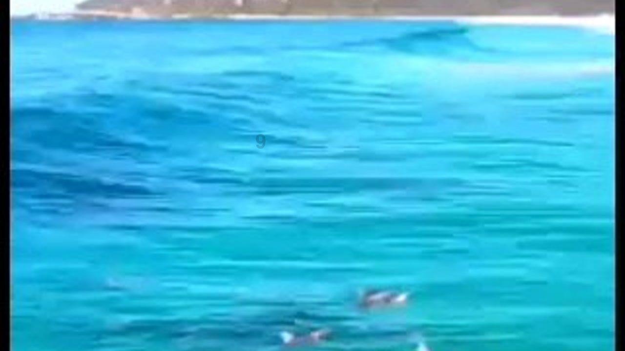 88影视