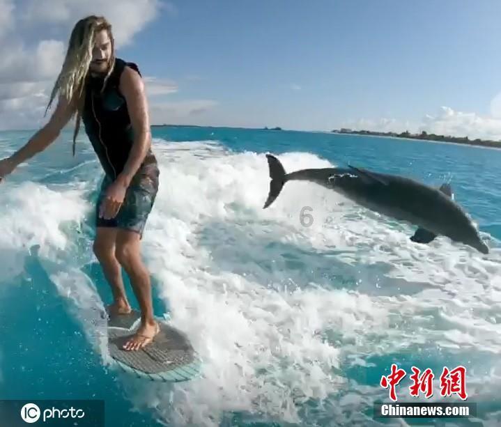 蓝狐视频