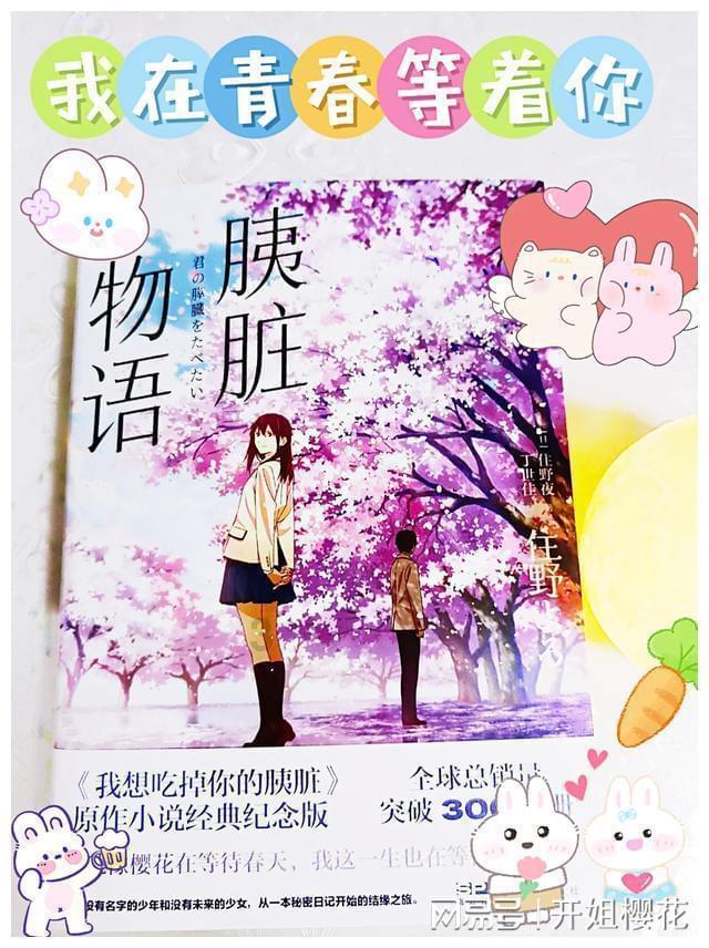 创作猫