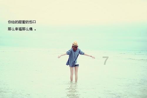 忍者鲨鱼