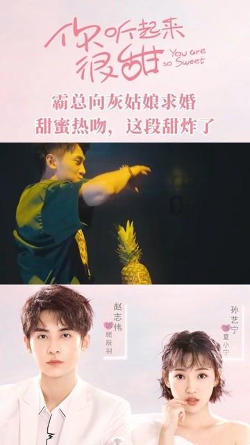 荷兰猪是什么动物啊？游戏画面