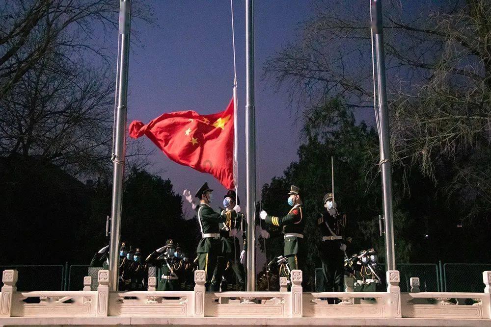 虫虫助手下载