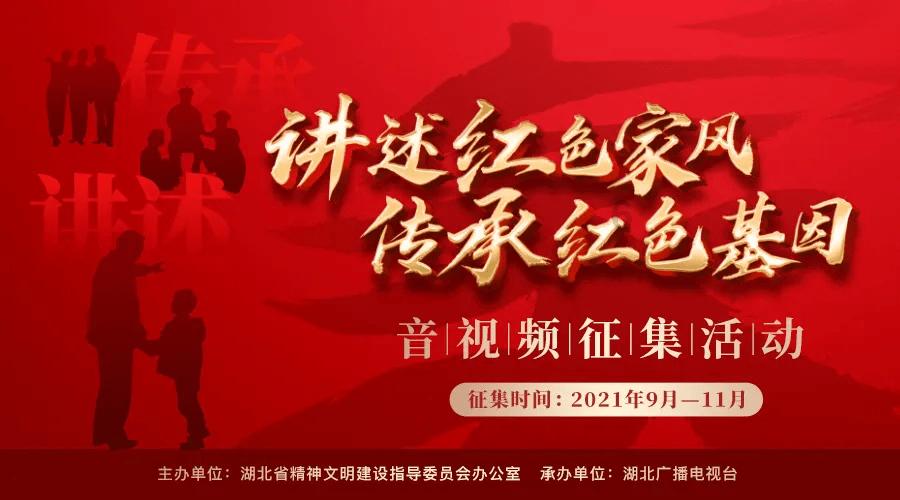 全民烧脑3去广告版