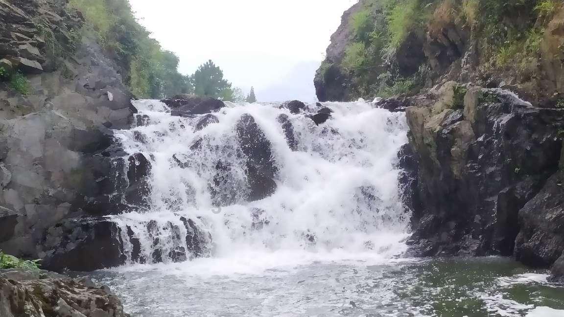 腐烂国度