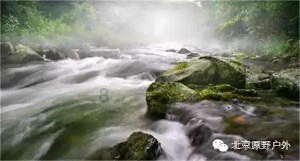 营救小乌龟