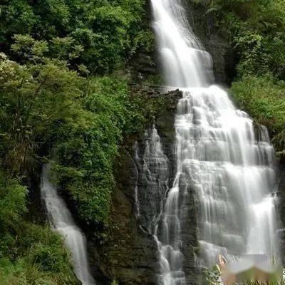 记者:高准翼已经参加泰山队训练,外援克雷桑即将归队