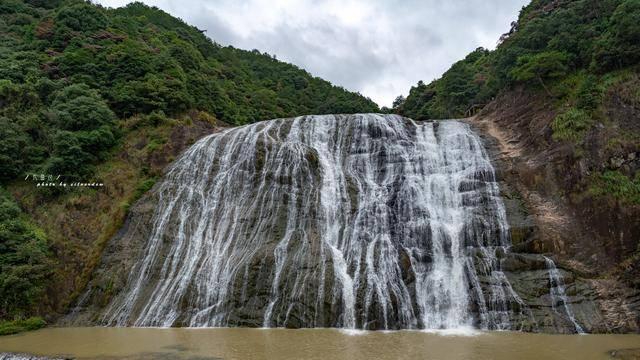 去年餐饮收入 超5万亿元