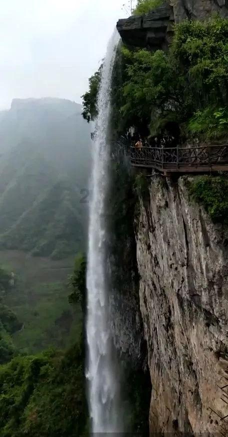 水果益智对对碰