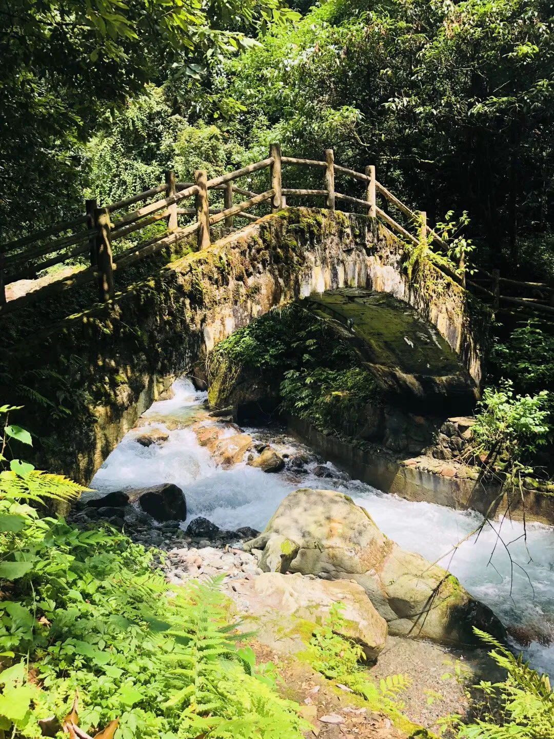 逃离巫婆房屋