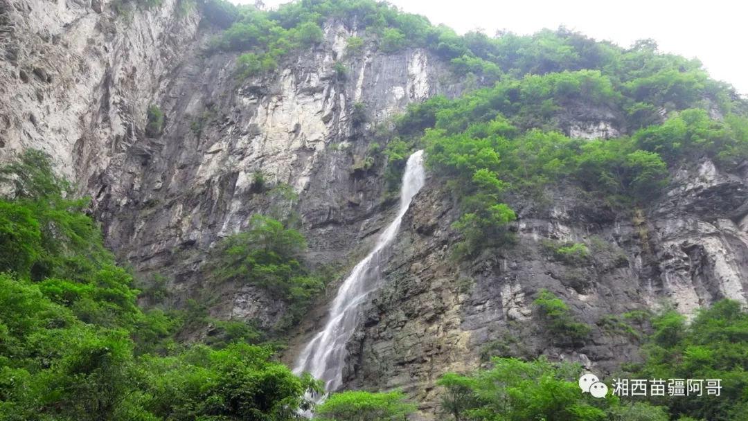 沪江开心词场