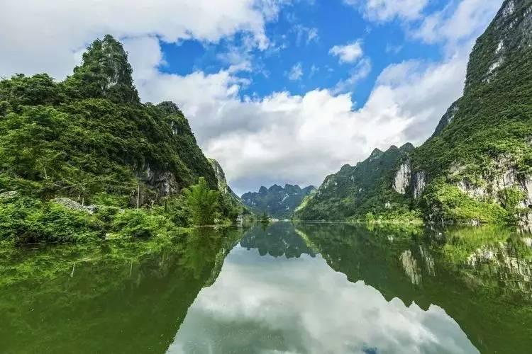 春雨直播app