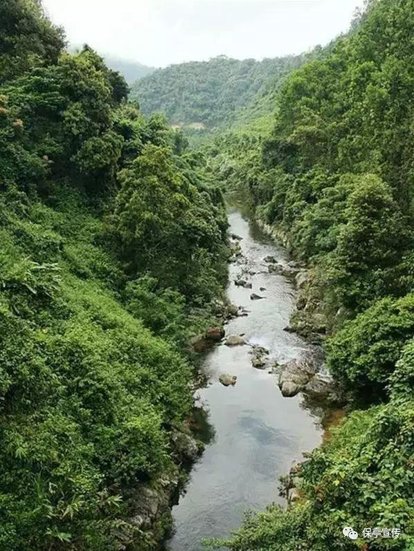 雷神银翼2k240hz电竞显示器上架,采用银翼机甲美学