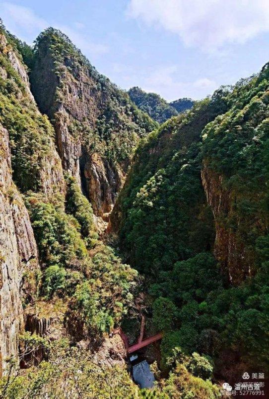 逃离游戏研究中心