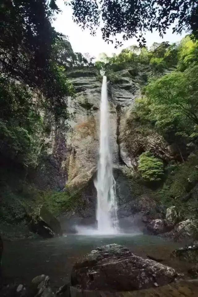 原罪煲骨汤肉在哪里看游戏画面