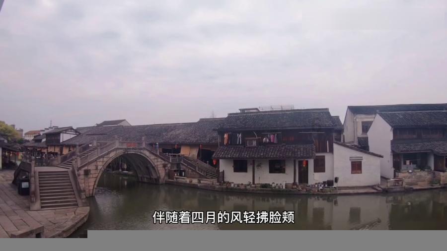 小猫钓鱼正版下载中文版