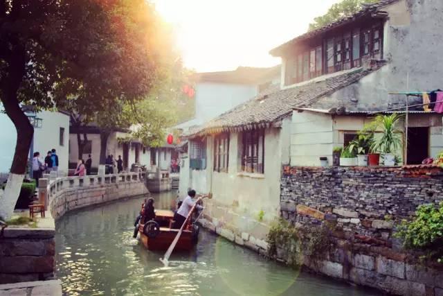 虫虫助手下载