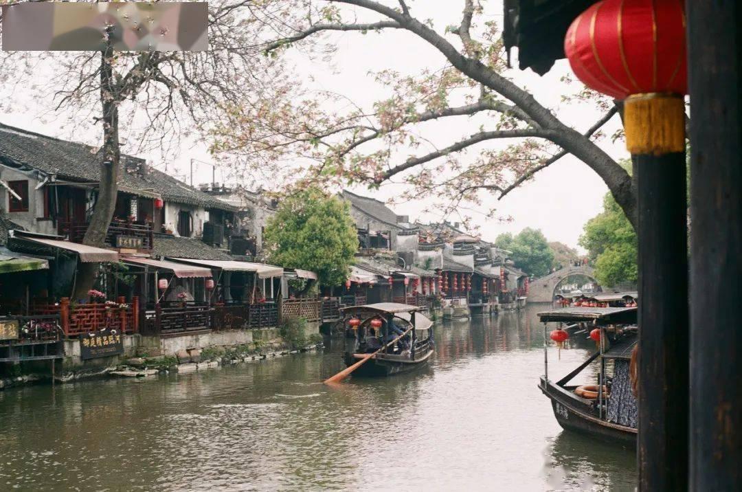 虫虫助手下载