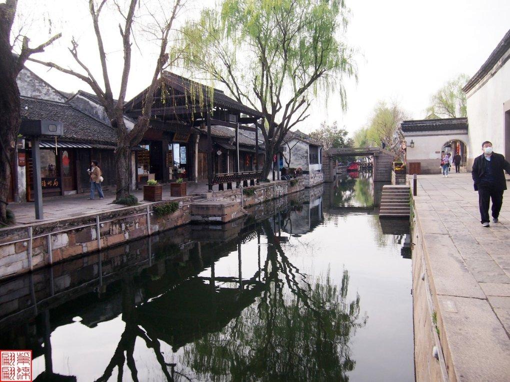 学习插花艺术