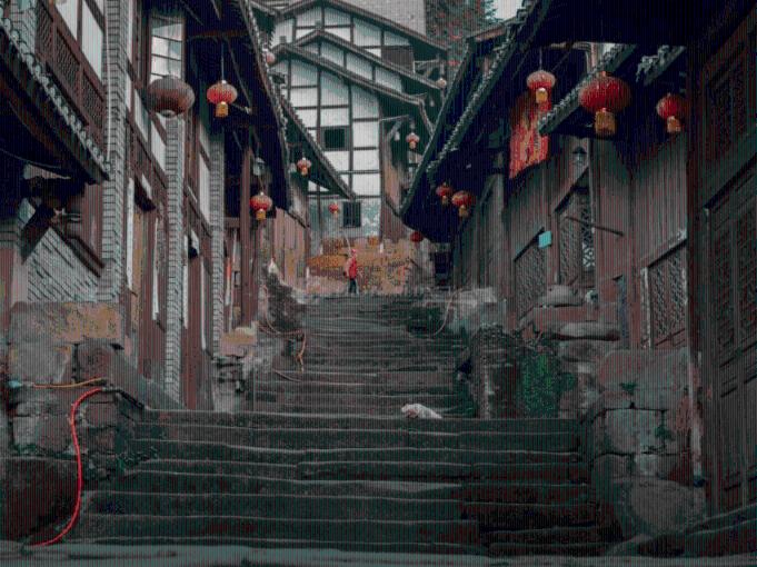 动物帮帮忙保卫家园